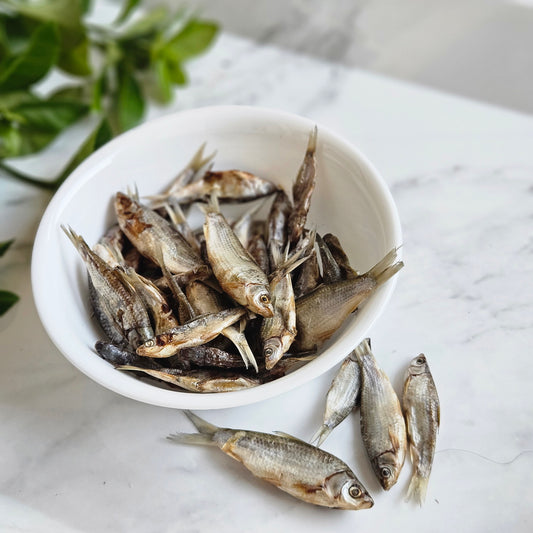 Fish Snacks- great for Cats and Dogs