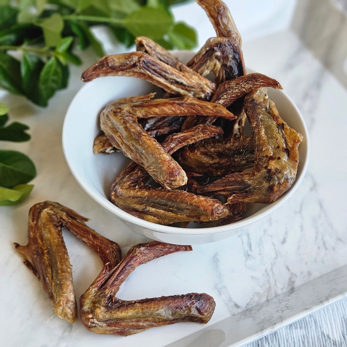 Dehydrated Duck Wings - Natural Chews for Dogs & Cats