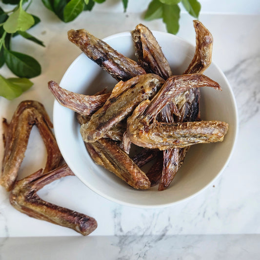 Dehydrated Duck Wings - Natural Chews for Dogs & Cats