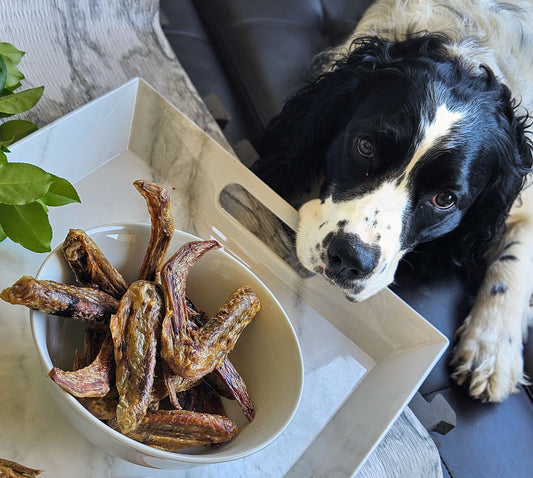 Dehydrated Duck Wings - Natural Chews for Dogs & Cats