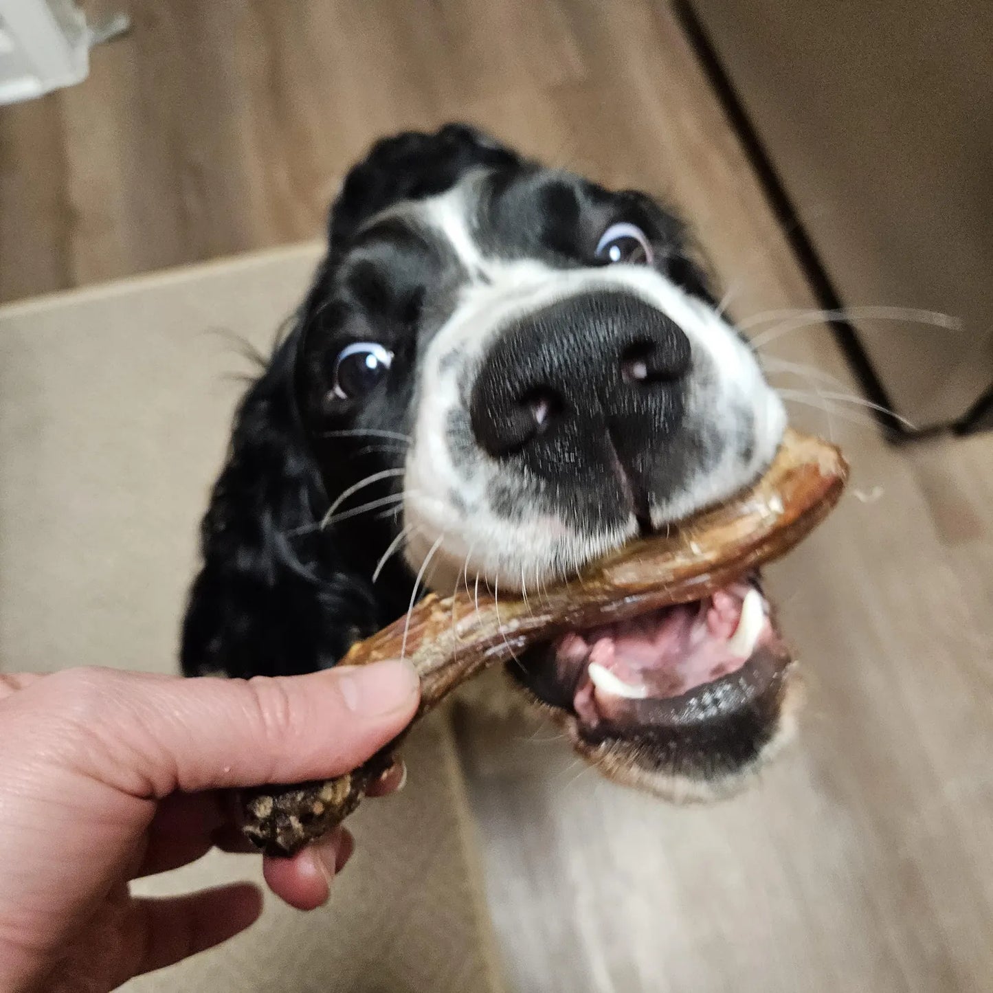 Air Dried Duck Necks - All Natural Chews for Dogs & Cats